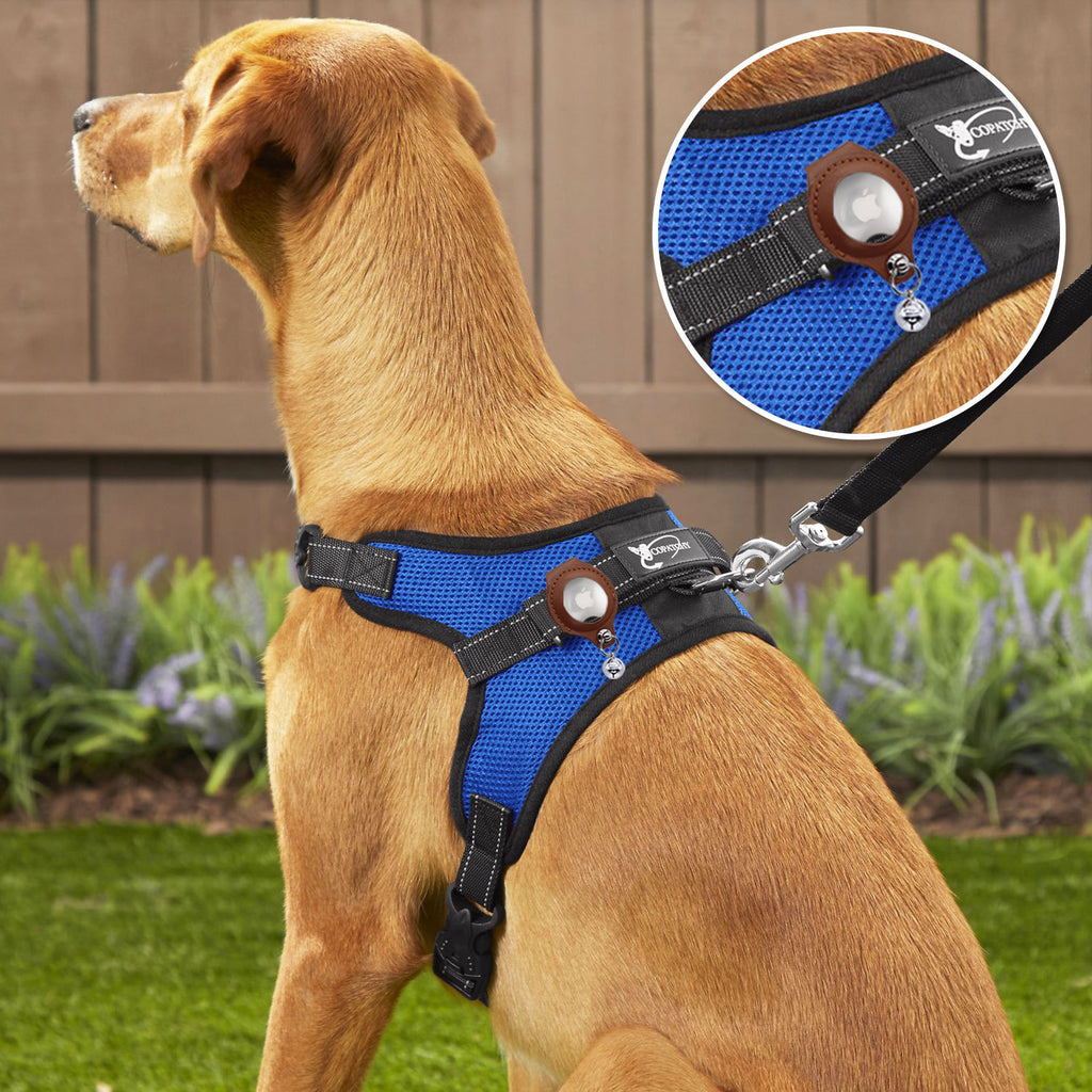 Detachable Pet Anti-Loss Case for Airtag Tracker